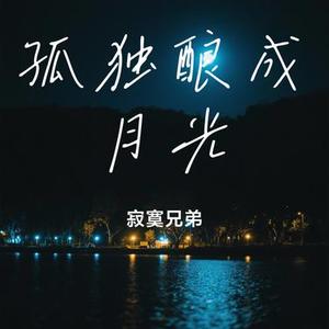 孤独酿成月光