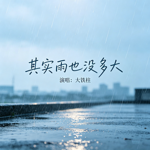 其实雨也没多大（我把思念告诉了风）