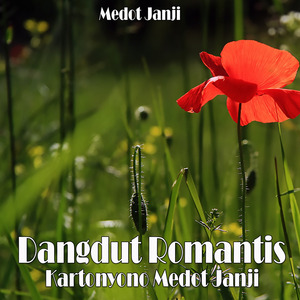 Kartonyono Medot Janji