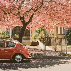 有了你,我的黑夜才敢奢求星辰