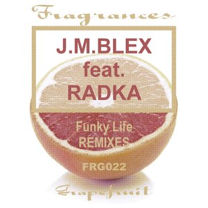 Funky Life (BL's A Lil Disclosed Mix)