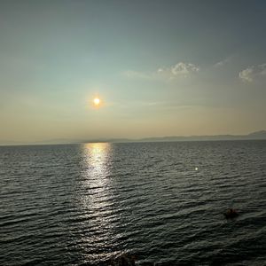 月光下的城市独行者