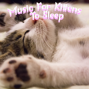 Anxiety Lullaby For Kitten