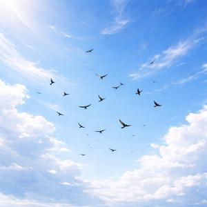 Soft Wind and Hidden Voices