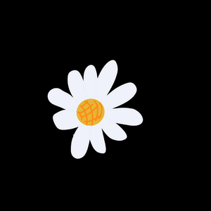 暗恋