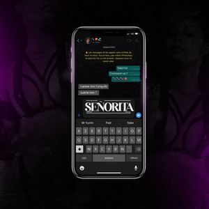 Señorita (Radio Edit)