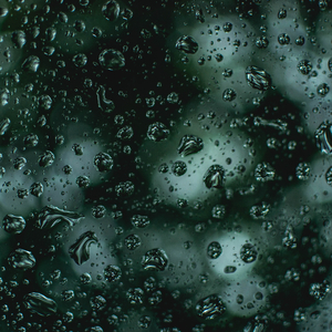 Rain Out Back
