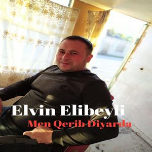 Men Qerib Diyarda (feat. Ferid Ehmedzade)