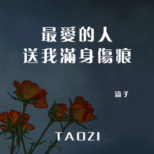 最爱的人送我满身伤痕