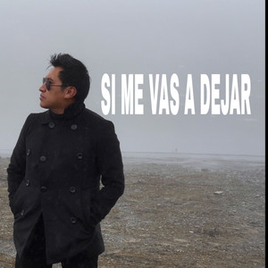 Si me vas a dejar