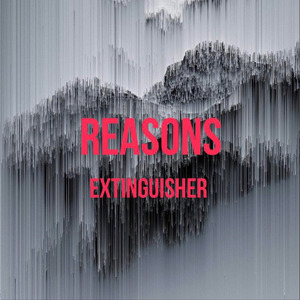 Reasons