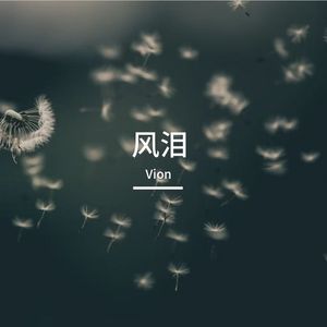 风泪