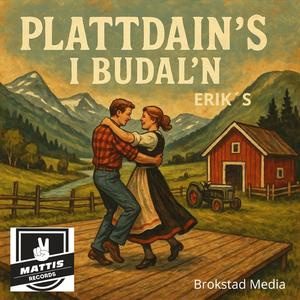 PLATTDAIN`S I BUDAL´N