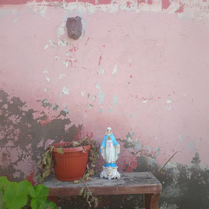Malo' Pasos