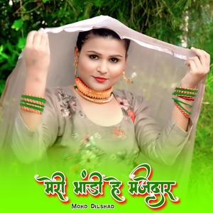 मेरी भांडी हे मजेदार