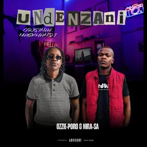 Undenzani (feat. NIRA-SA)