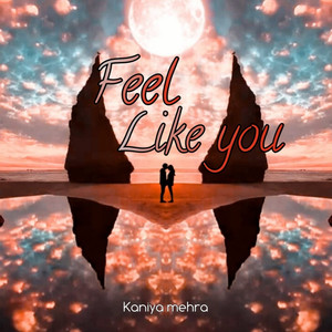 Feel Like You