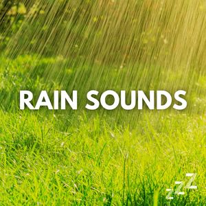 Soft Rain Drops (Loopable, No Fade Out)