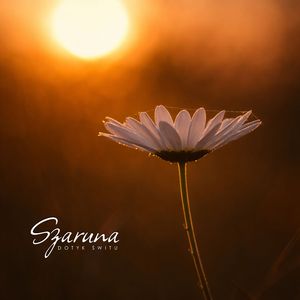 Świetlista Przestrzeń