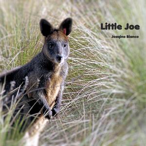 Little Joe