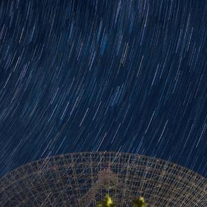 逍遥散离不开白芍药（freesyle）