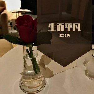 虽然我不懂浪漫 (DJ版)