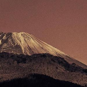 白月光与朱砂痣（温柔男版）