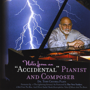 Fantasia The Lightning Sonata, Op. 1: II