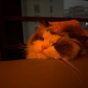 冬天〃• ֊ •〃