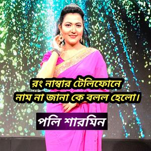 রং নাম্বার টেলিফোনে
