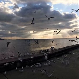 嗨嗨嗨：自信即巅峰