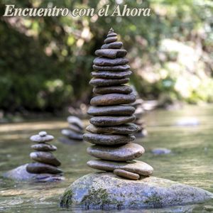 Abrazando la Quietud