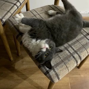 小手拉大手(1)（翻自 渺）