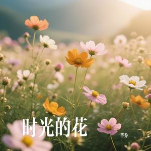 时光的花