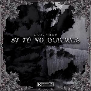 Si Tú No Quieres