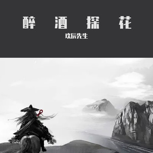 醉酒探花