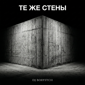 Те же стены