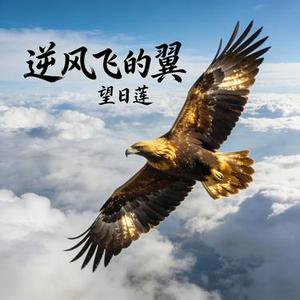 逆风飞的翼