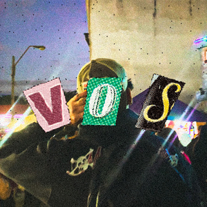 Vos