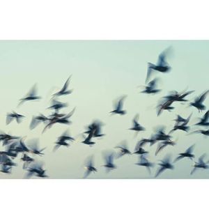 健身哥（Prod.Riven）