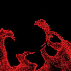 MVP freestyle(prod.Moon李沐洵)