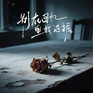 别在回忆里找证据