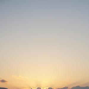 乌鸦白鸽相爱的戏码