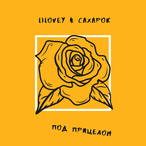 Под прицелом