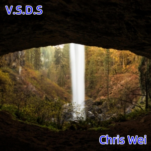 V.S.D.S