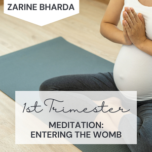 First Trimester - Entering the Womb