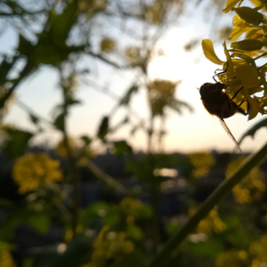 Our Journey Now (feat. Josie's Joy)