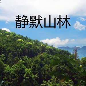 静默山林