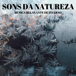 Fluxo Preso No Gelo