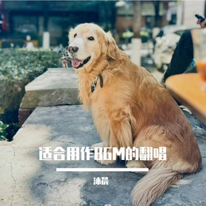 乌兰巴托的夜晚